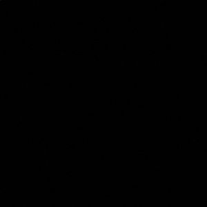 Meet your Posher, Isaiah